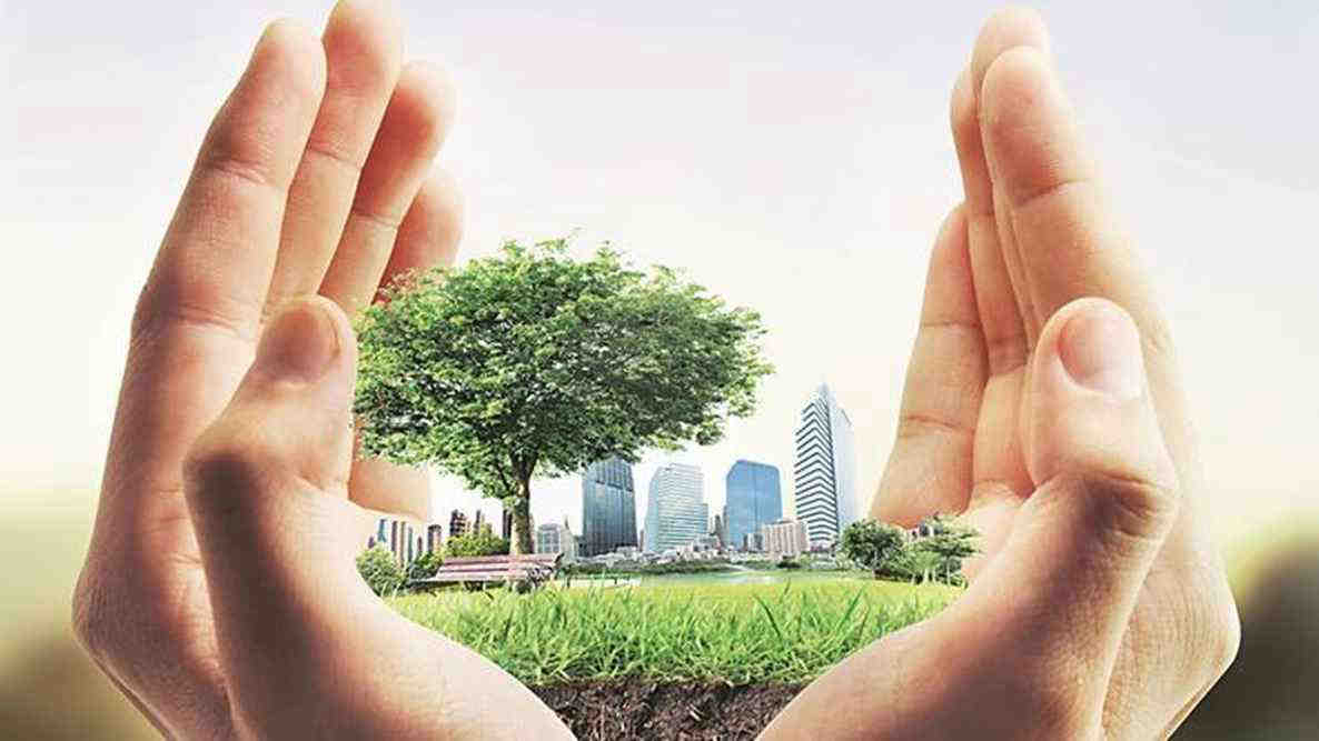 Green Building Practices: A Growing Trend In Indian Real Estate