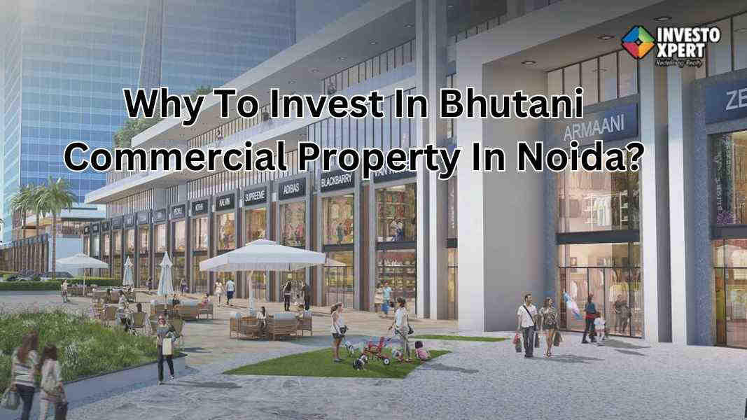 Why To Invest In Bhutani Commercial Property In Noida?