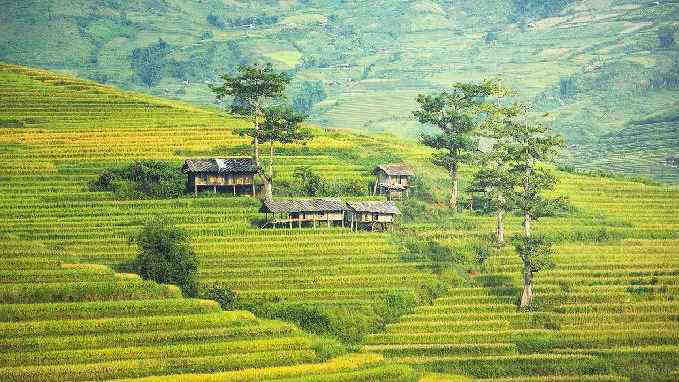 Jadid Meaning In Land Terminologies Jadid Settlement Vs Regular (Kanooni) Settlement